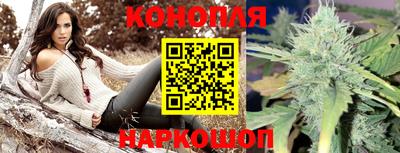 крисы Ангарск